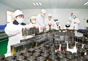 致力研发订单 生物科技产品的创新之路